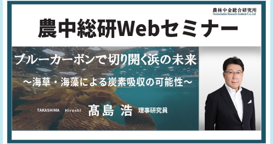 20221019セミナー「ブルーカーボンで切り開く浜の未来～海草・海藻による炭素吸収の可能性～」