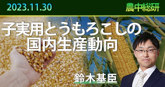 2023年11月30日「子実用とうもろこしの国内生産動向～国産濃厚飼料としての可能性～」