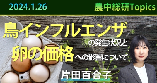 2024年1月26日「鳥インフルエンザの発生状況と卵の価格への影響について」