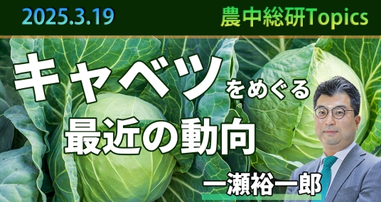 2025年3月19日「キャベツをめぐる最近の動向」