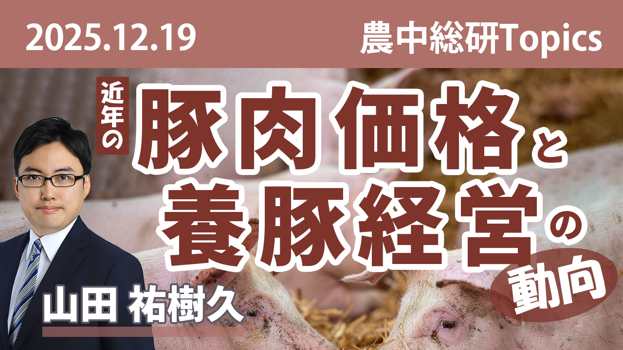 12月19日
動画配信のお知らせ『近年の豚肉価格と養豚経営の動向』（農中総研YouTubeチャンネル）