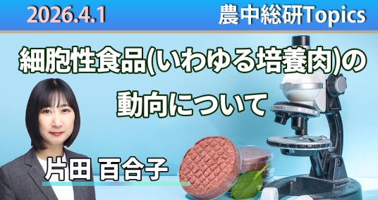 2026年4月1日「細胞性食品（いわゆる培養肉）の動向について」