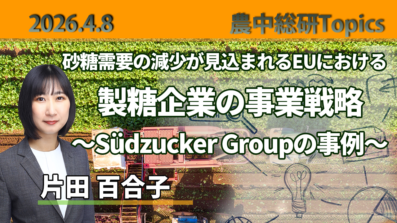 4月8日
動画配信のお知らせ『砂糖需要の減少が見込まれるEUにおける製糖企業の事業戦略 ～Südzucker Groupの事例～』（農中総研YouTubeチャンネル）